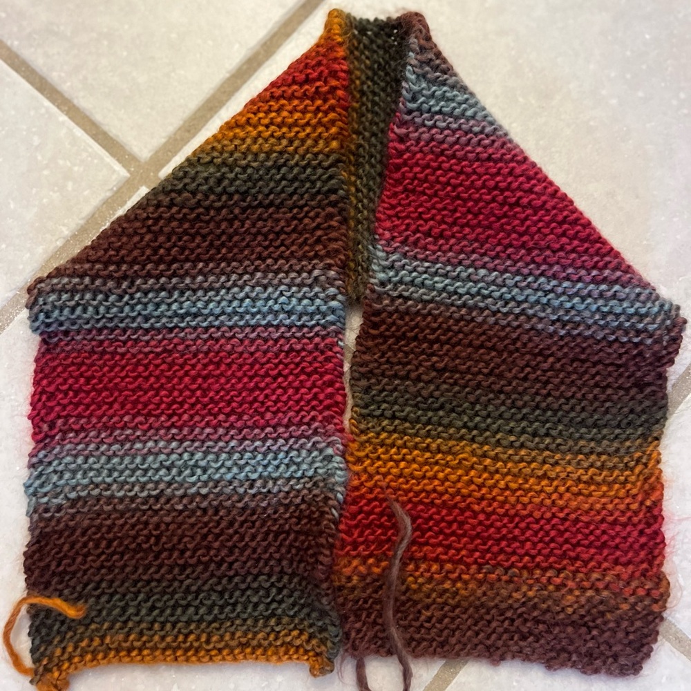 Multicolor Knit Scarf